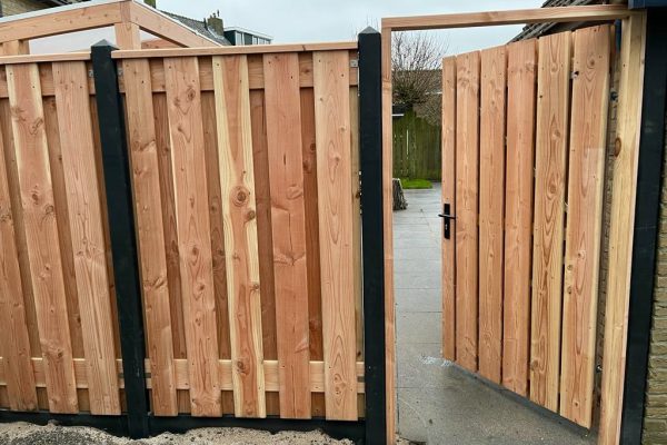 ba782316-c77f-4c67-a194-c580ea6ea96b